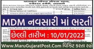 MDM Navsari Recruitment 2022