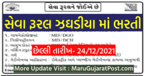 Sewa Rural Jhagadia Vacancy