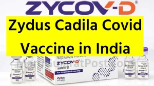 Zydus Cadila Covid Vaccine in India