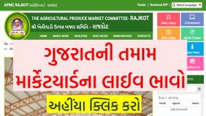 Gujarat Today APMC Market Yard Bhav 2022