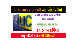 માલામાલ/ LICની આ પોલીસીમાં ફક્ત દરરોજ 238 રૂપિયા જમા કરાવો