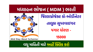 MDM Sabarkantha Bharti 2022