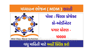 MDM Chhota Udaipur Bharti 2022