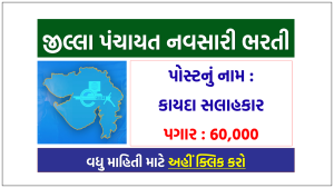 Jilla Panchayat Navsari Bharti 2022