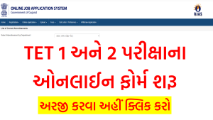 ટેટ 1-2 પરીક્ષા ઓનલાઈન ફોર્મ 2022