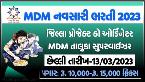 MDM Navsari Bharti 2023