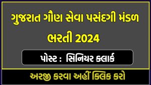 GSSSB Senior Clerk Bharti 2024