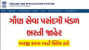 GSSSB Sub Accountant Bharti 2024