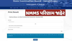 NMMS Result 2025