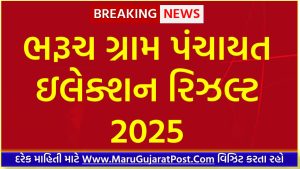 Bharuch District Gram Panchayat Sarpanch Election Result 2025
