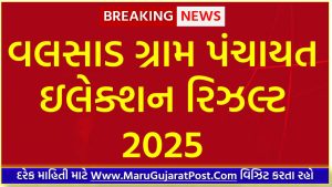 Valsad District Gram Panchayat Sarpanch Election Result 2025