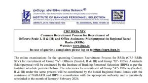 IBPS RRBs XIV Recruitment 2025